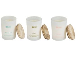 3 Soy Wax Scented Candles Leather / Wind of Sea / Amber