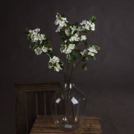 Spring Mock Orange Flower - White