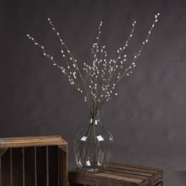 Pussy Willow Branch - Brown