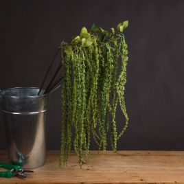 Green Plastic Amaranthus