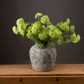 Viburnum Spray - Green