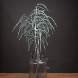 Festive Amaranthus - Metallic Finish