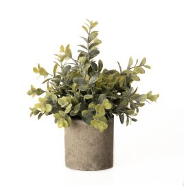 Stone Effect Eucalyptus Plant Pot - Green