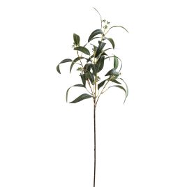 Seeded Eucalyptus Spray - Green