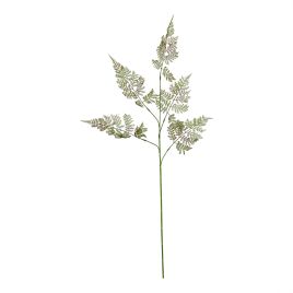 Natural Outdoor Collection Large Bracken Fern Spray