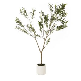 Apul Olive Tree In White Pot - 180cm