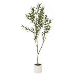 Apul Olive Tree In White Pot - 150cm
