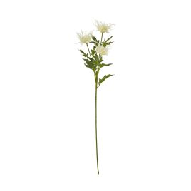 Cremo Sea Holly Spray