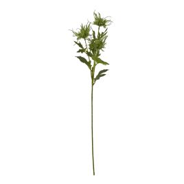 Blanor Green Sea Holly Spray