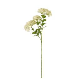 Cremo Sedum Spray