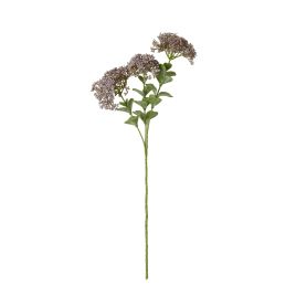 Purpo Sedum Spray