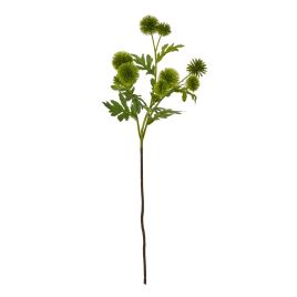 Blanor Green Globe Thistle Spray
