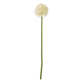 Cremo Allium Stem - Medium