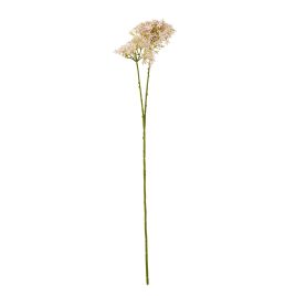 Blanor Pink Crown Hydrangea Stem