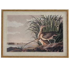 Flor Curlews Art In Beaded Frame