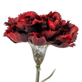 Burgo Carnation Stem