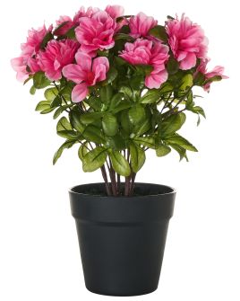 UNDERCOMBE Artificial Plant - Pink