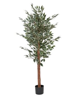Artificial Potted Plant 167 cm FICUS TREE
