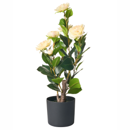 CAMELLION Artifical Flora - Green