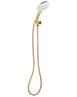 DALBOURNE Shower Head and Hose Kit - Gold