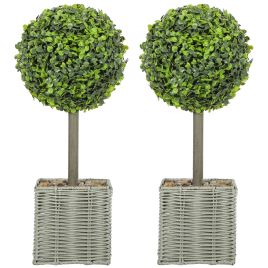HERON Set of 2 Decorative Artificial Plants 50cm Faux Boxwood Topiary - Green