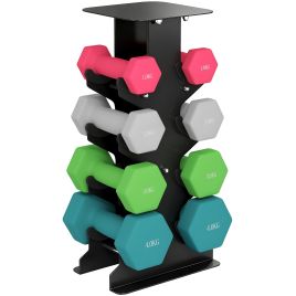 Camcarr Multi-Colour Metal Home Gym Dumbbells Set 1 - 4kg - 6cm