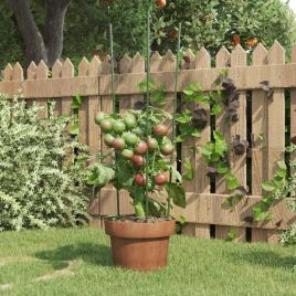 Garden Plant Supports with 3 Rings 5 pcs Green 60 cm Steel