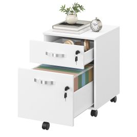 DAKOTY Mobile Locking Filing Cabinet with 2 Drawers - White