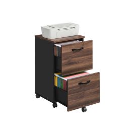 Filing Cabinet - ZARTA 2 Drawer Printer Stand Natural Walnut and Black - Walnut