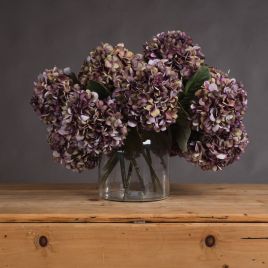Autumn Hydrangea - Burgundy