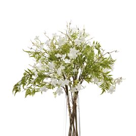 Italian White Bellflower - Green