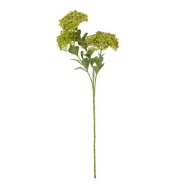 Blanor Green Sedum Spray