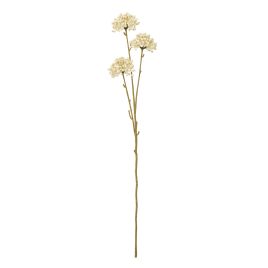 Cremo Allium Spray
