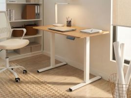 TAAVRES Electric Adjustable Standing Office Desk - White