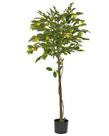 Artificial Potted Plant 156 cm LEMON TREE