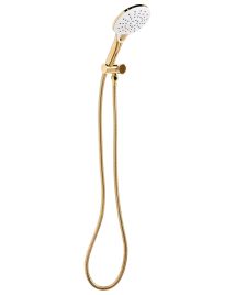 DALBOURNE Shower Head and Hose Kit - Gold