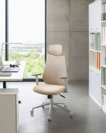 KAYARO Mesh Office Chair - Beige