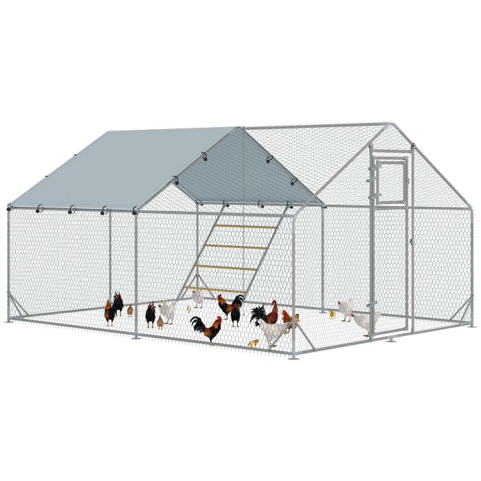 PAWSTER Walk in Chicken Run w/ Cover, Feeding Door, Hanging Feeder, Perch, for 12-18 Poultry