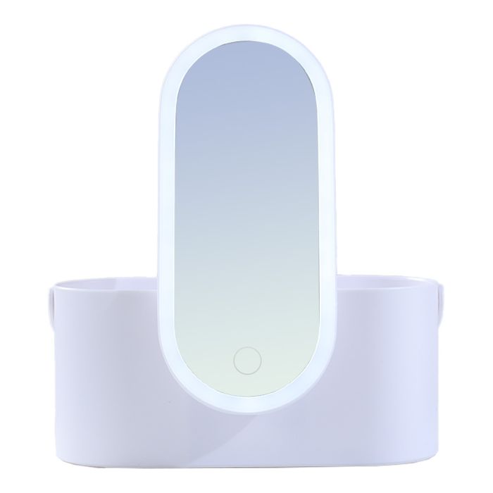 Portable Vanity Makeup Case for Travel with LED Light Mirror