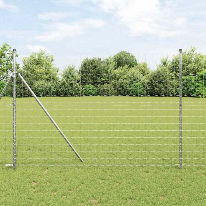 Euro Fence with 7 Posts 1.6x10 m Galvanised Steel