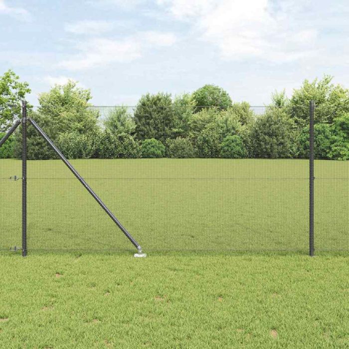 Welded Wire Fence with 13 Spike Posts Grey 1x50 m Steel