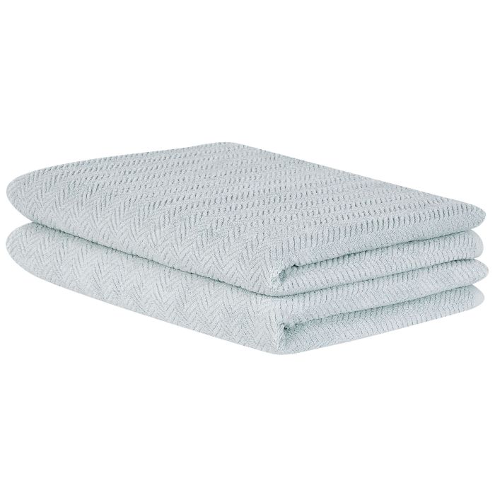 Set of 2 Cotton Terry Towels Mint Green MITIARO