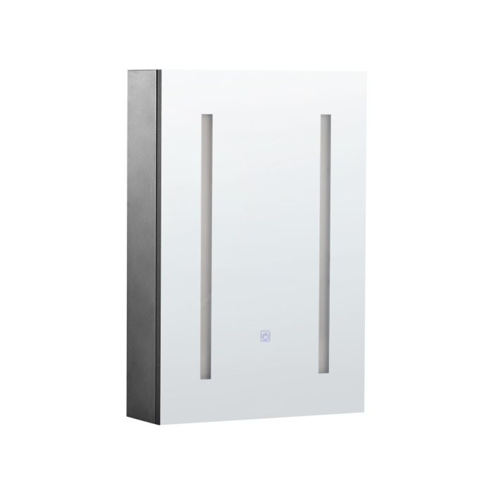 Bathroom Wall Mounted Mirror Cabinet with LED 40 x 60 cm Black CAMERON