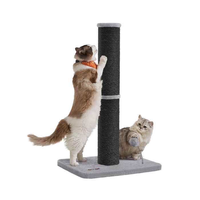 Cat Scratching Post - ZARNZA Tall Cat Scratcher with Sisal Rope - Black