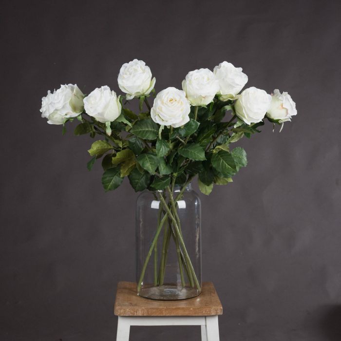 Traditional Rose - White