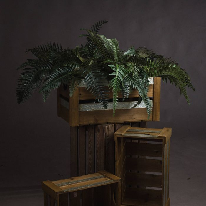 Fern Bunch - Green