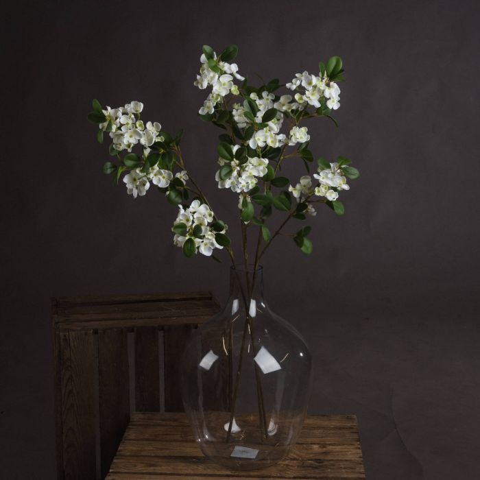 Spring Mock Orange Flower - White