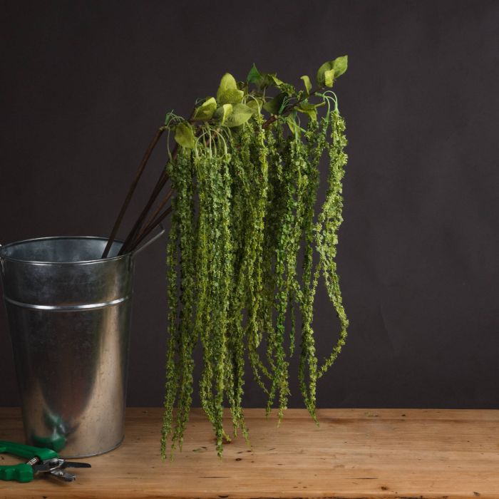 Green Plastic Amaranthus