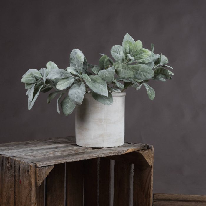 Lambs Ear Spray - Green