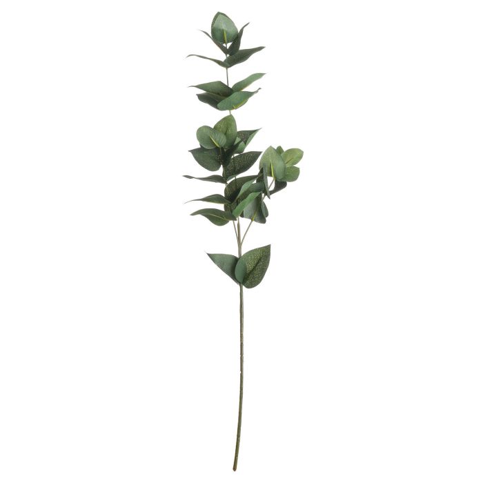 Eucalyptus Filler - Green